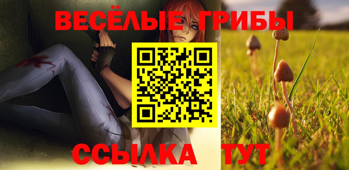 Галлюциногенные грибы прущие грибы Мичуринск