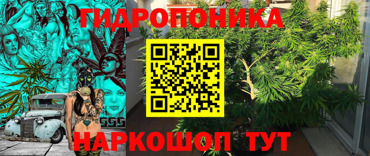 Шишки марихуана марихуана Мичуринск